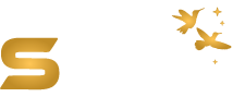 staging.sbtgroupinc.com
